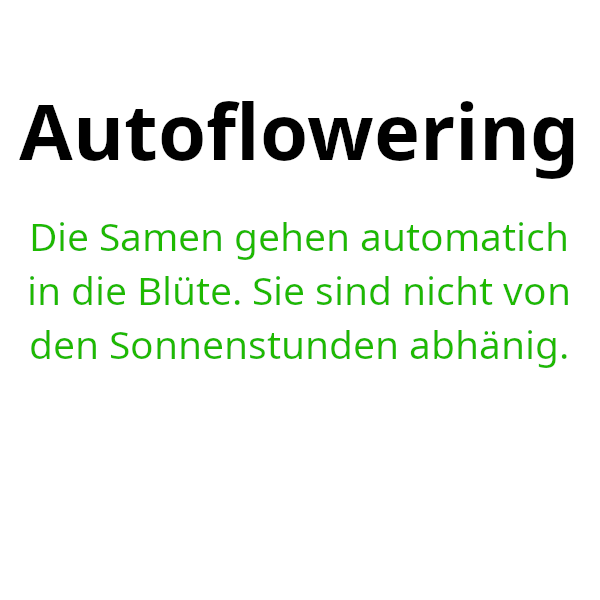 Automatische