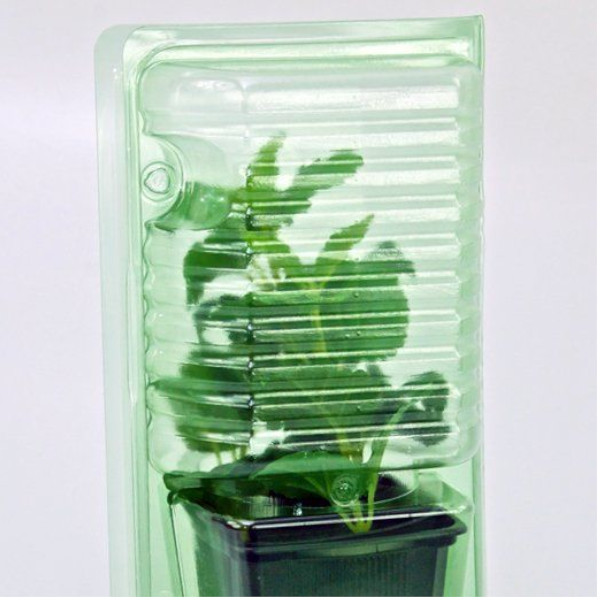 Versandverpackung für 9x9x10 Töpfe