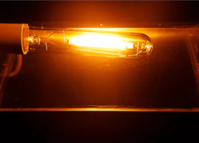 Pflanzenlicht