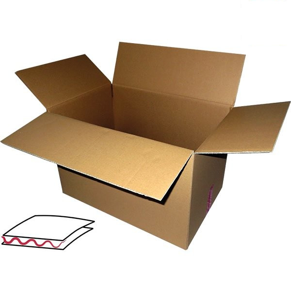 Karton für Stecklinge - 582x377x185mm Karton für Stecklinge - 582x377x185mm