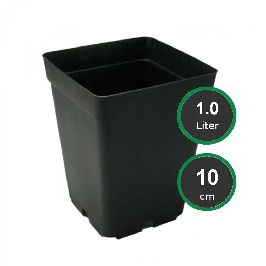 Vierkant Töpfe - 10x10x14 cm, 1.0ltr. Vierkant Töpfe - 10x10x14 cm, 1.0ltr.