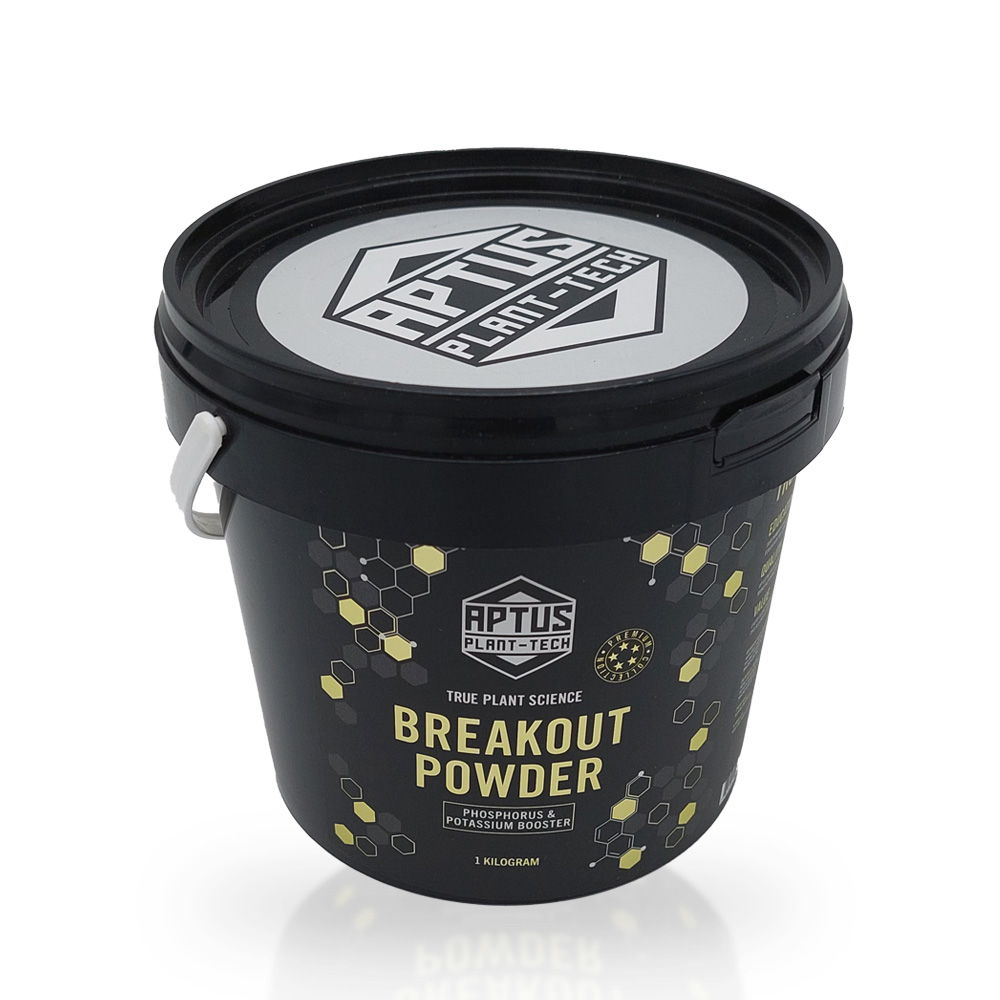 Aptus - Breakout Powder, 1Kg Aptus - Breakout Powder, 1Kg