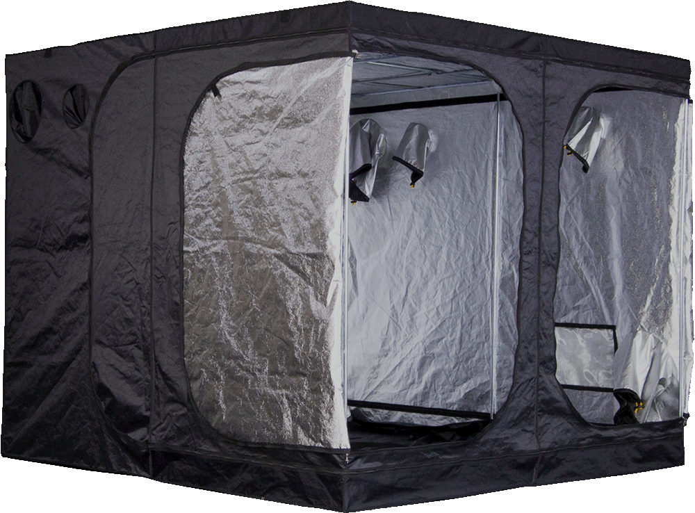 Mammoth, Pro+ - 240 Mammoth, Pro+ - 240