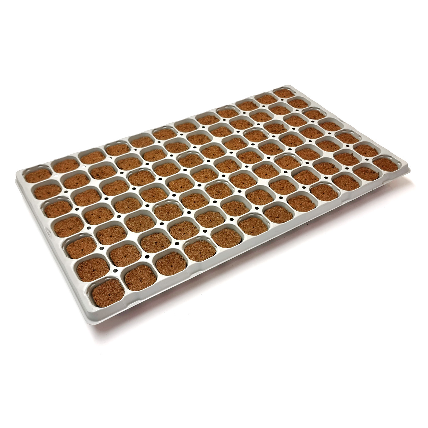 Cannsa Plug, Tray mit 84 Stk. Cannsa Plug, Tray mit 84 Stk.
