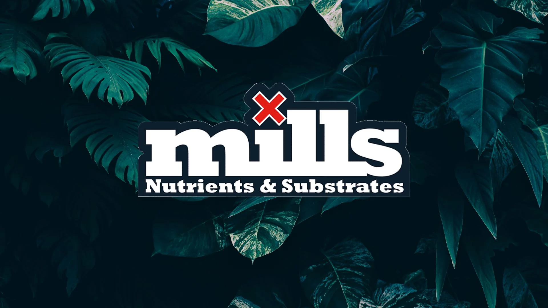 Mills