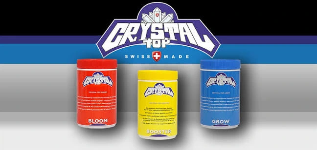 Crystal Top