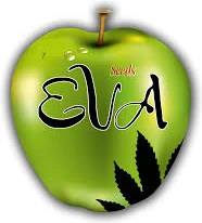 Eva Seeds
