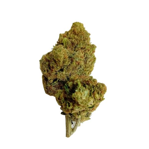 Amnesia Haze, Indoor Amnesia Haze, Indoor