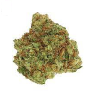 Blue Monkey CBD - Amsterdam Genetics Blue Monkey CBD - Amsterdam Genetics