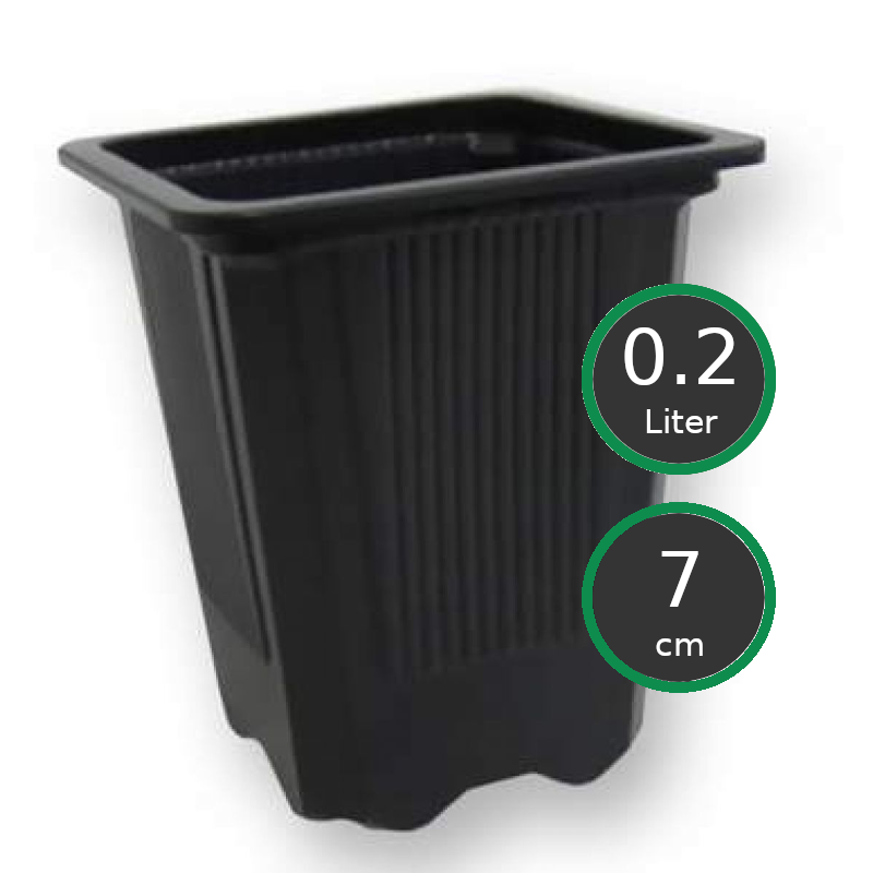 Vierkant Töpfe 7x7x8 cm, 0.2 ltr. Vierkant Töpfe 7x7x8 cm, 0.2 ltr.