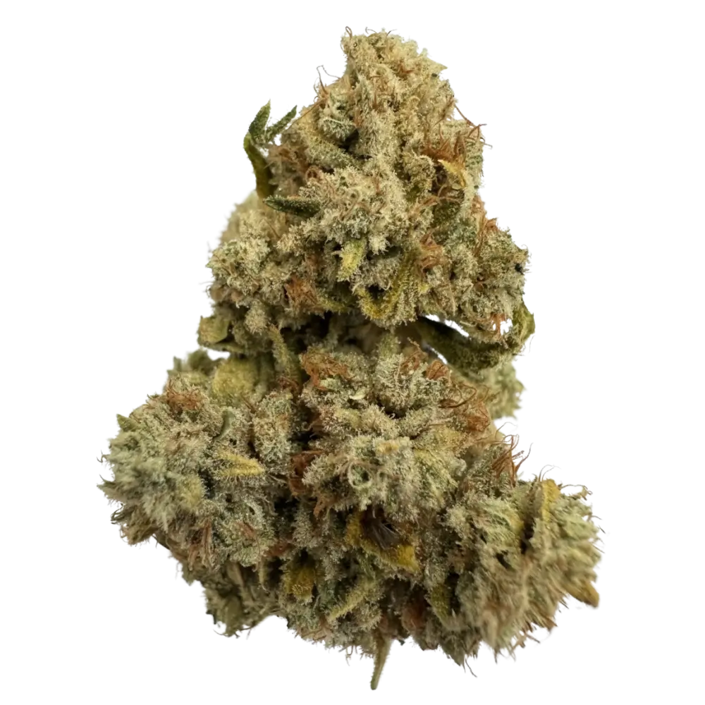 Ananas Express, Indoor (Limited Edition)