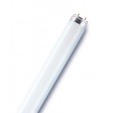 Osram, Leuchtstoffröhre - T8 - 120cm - 36Watt