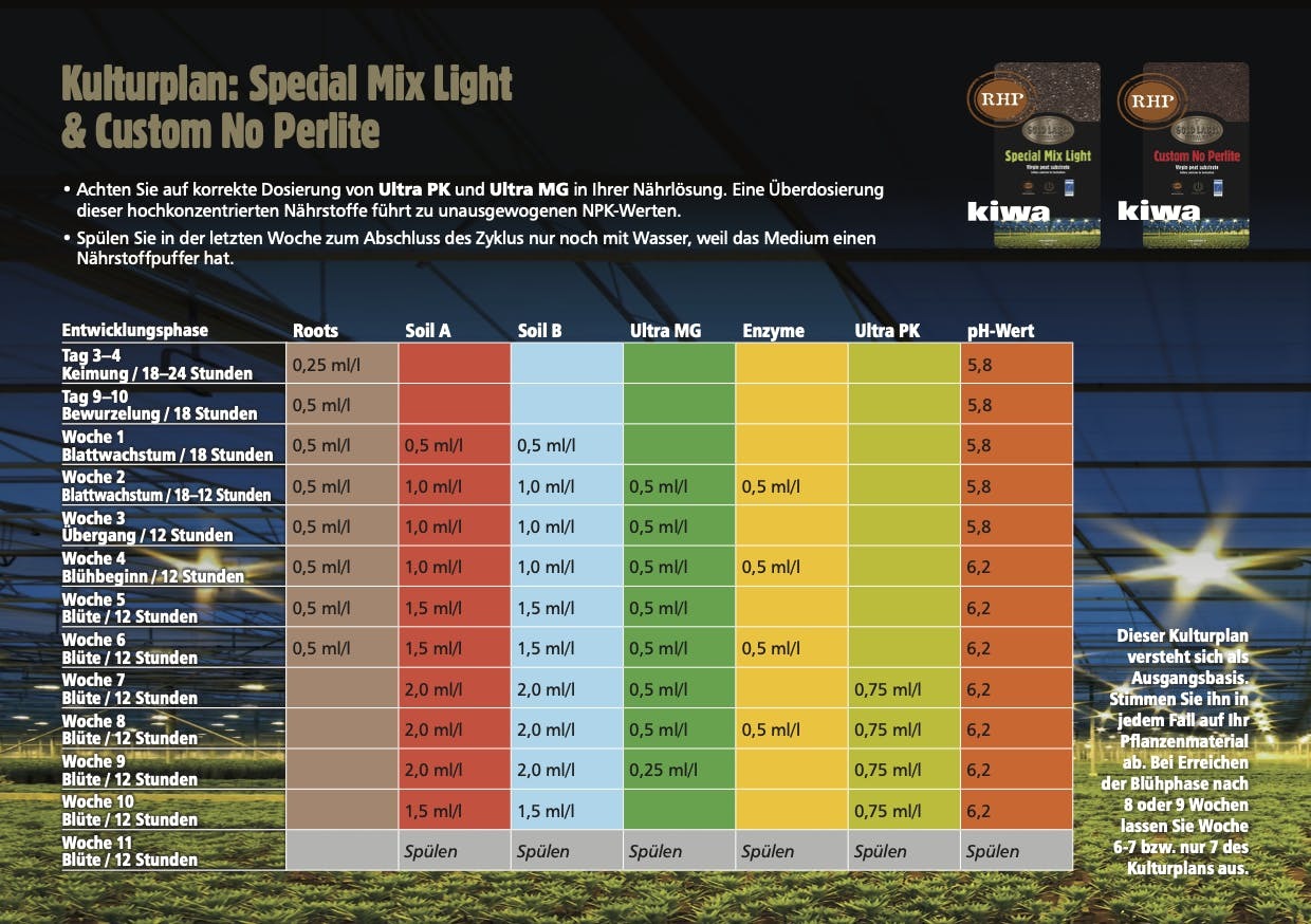 Gold-label-Light-Mix-Bischofberger-gardening