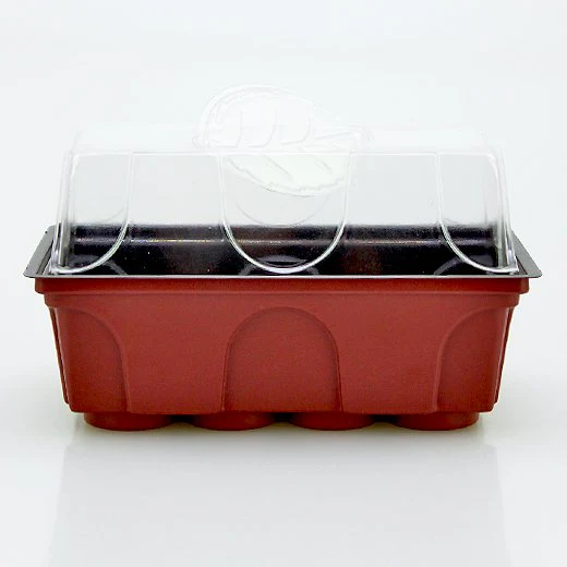 Jiffy, Einweg- Zimmergewächshaus - für 8 Tabletten Jiffy, Einweg- Zimmergewächshaus - für 8 Tabletten